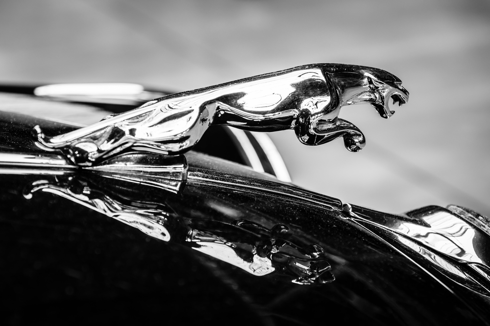Assurance Jaguar prestige haut de gamme