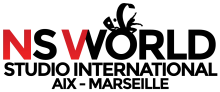 Ecole artistique internationale pour formation professionnelle en comédie musicale Aix Marseille NS World Studio International